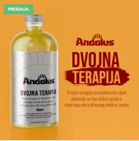 Dvojna terapija